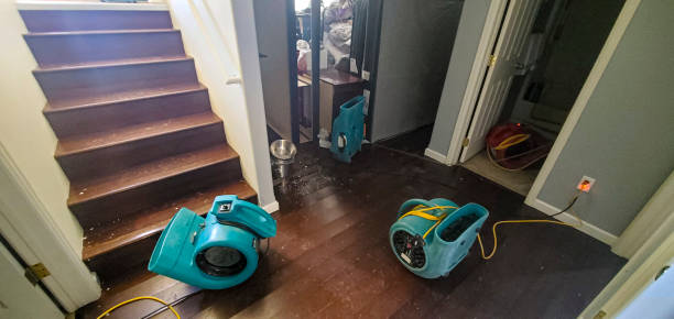 Best Sewage cleanup and water damage restoration  in Taft Southwest, TX