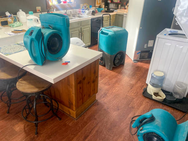 Best Water damage cleanup near me  in Taft Southwest, TX