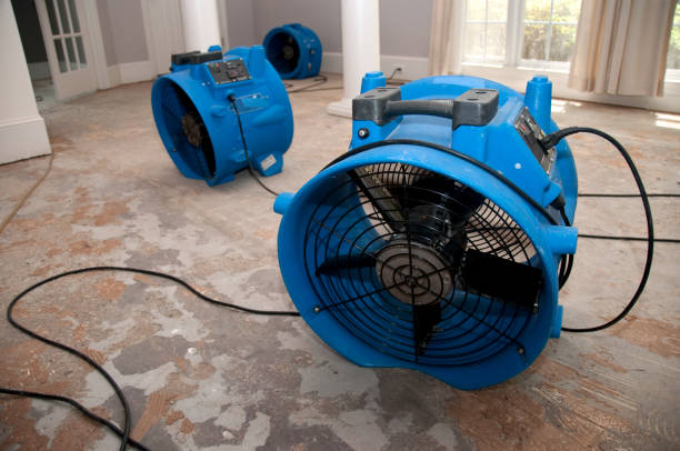 Best Water damage restoration specialists  in Taft Southwest, TX