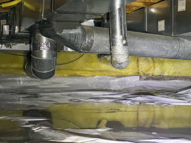 Best Basement water damage restoration  in Taft Southwest, TX