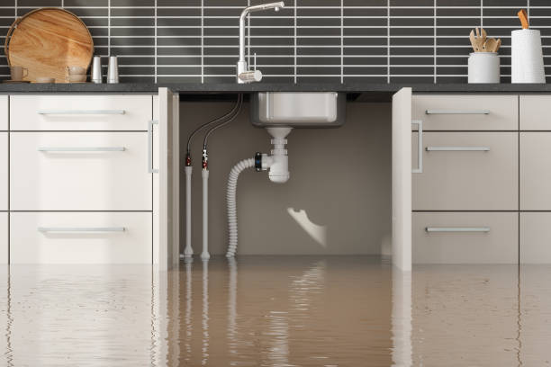 Best Flood damage cleanup  in Taft Southwest, TX