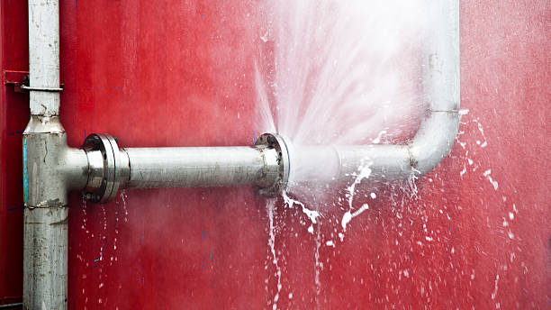 Best Ceiling water damage repair  in Taft Southwest, TX