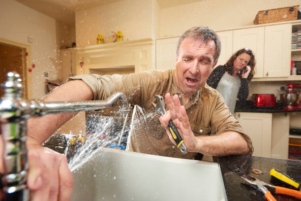 Best Professional water damage repair  in Taft Southwest, TX